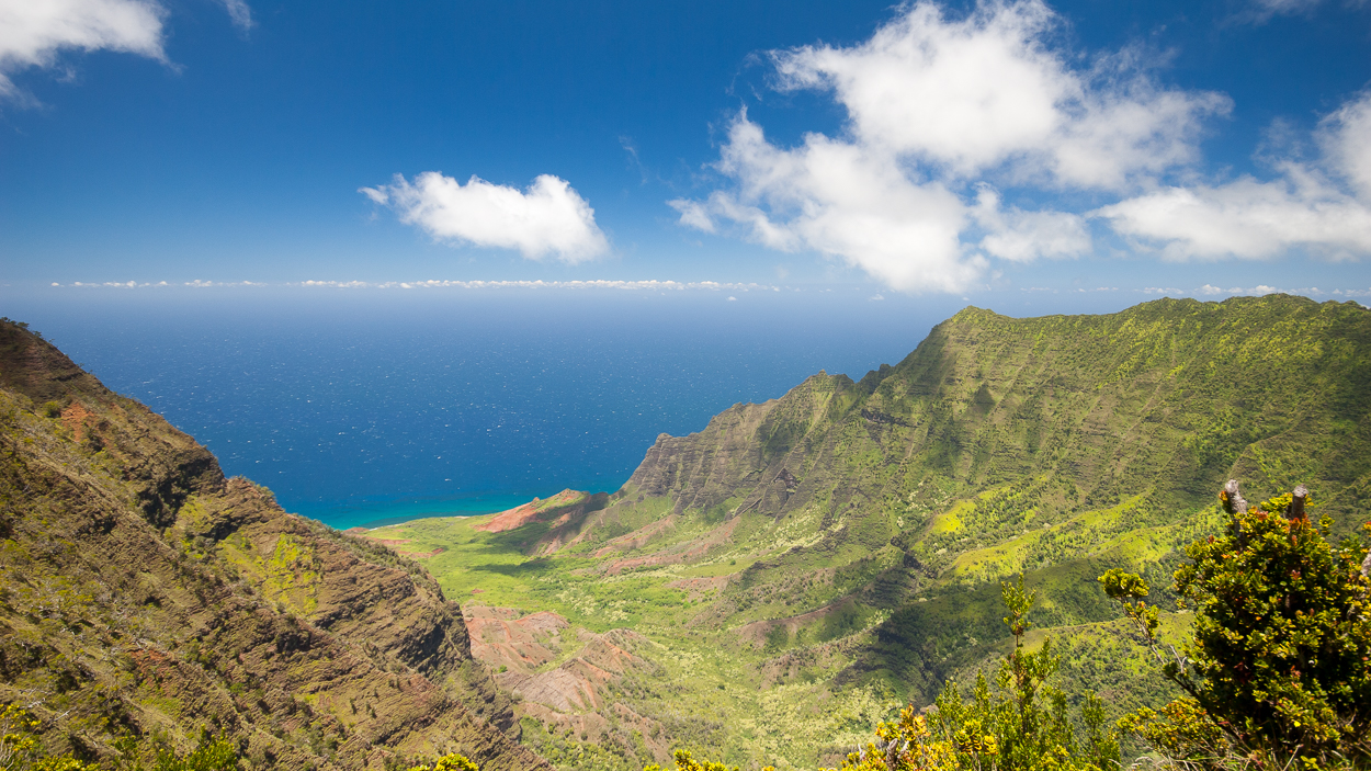 Why Kaua‘i is the Ultimate Wild & Wonderful Wedding Destination