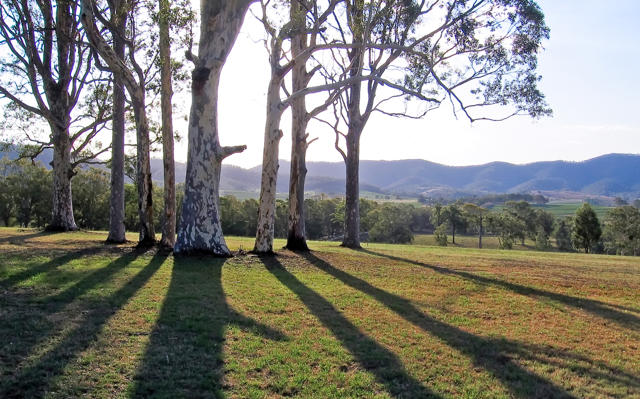 Long Shadows & a Long Weekend Hunter Valley Getaway